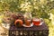 Cup of tea, jar of jam and persimmon fruitÂ beside dried flower bunch